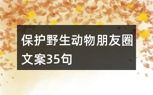 保護野生動物朋友圈文案35句