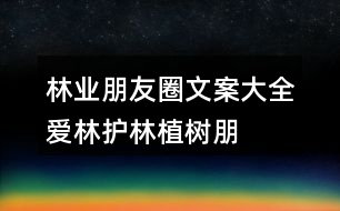 林業(yè)朋友圈文案大全：愛林、護林、植樹朋友圈文案40句