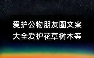 愛(ài)護(hù)公物朋友圈文案大全：愛(ài)護(hù)花草樹(shù)木等朋友圈文案32句