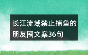 長(zhǎng)江流域禁止捕魚(yú)的朋友圈文案36句