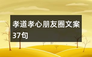 孝道、孝心朋友圈文案37句