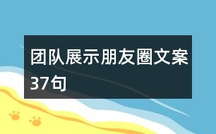 團隊展示朋友圈文案37句