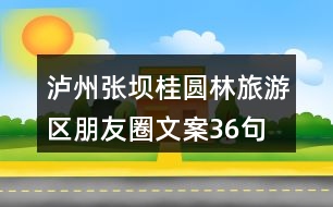 瀘州張壩桂圓林旅游區(qū)朋友圈文案36句