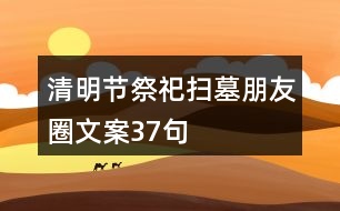 清明節(jié)祭祀、掃墓朋友圈文案37句