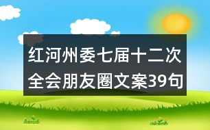 紅河州委七屆十二次全會朋友圈文案39句