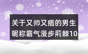 關(guān)于又帥又痞的男生昵稱霸氣漫步荊棘100個