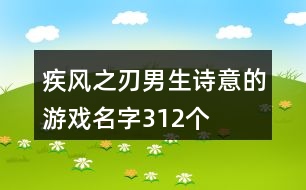 疾風(fēng)之刃男生詩(shī)意的游戲名字312個(gè)