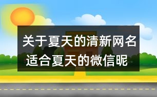 關(guān)于夏天的清新網(wǎng)名 適合夏天的微信昵稱323個