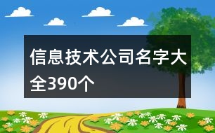 信息技術(shù)公司名字大全390個