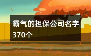 霸氣的擔保公司名字370個