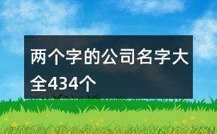 兩個字的公司名字大全434個