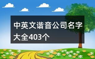 中英文諧音公司名字大全403個