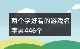 兩個(gè)字好看的游戲名字男446個(gè)