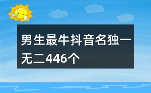 男生最牛抖音名獨(dú)一無二446個(gè)