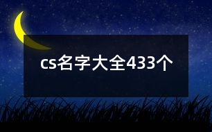 cs名字大全433個