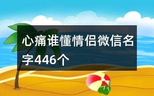 心痛誰懂情侶微信名字446個(gè)