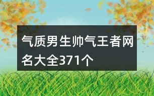 氣質男生帥氣王者網名大全371個