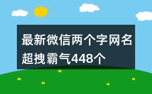 最新微信兩個字網名超拽霸氣448個