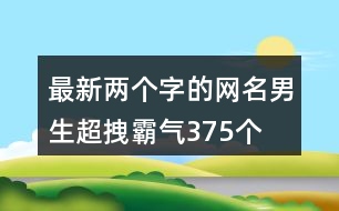 最新兩個字的網(wǎng)名男生超拽霸氣375個