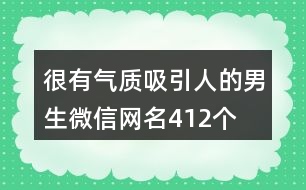 很有氣質(zhì)吸引人的男生微信網(wǎng)名412個