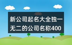 新公司起名大全,獨(dú)一無(wú)二的公司名稱(chēng)400個(gè)