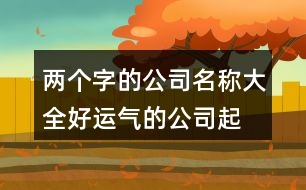 兩個字的公司名稱大全,好運氣的公司起名大全399個