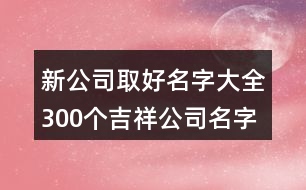 新公司取好名字大全,300個(gè)吉祥公司名字大全456個(gè)