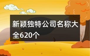 新穎獨特公司名稱大全620個