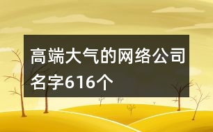 高端大氣的網(wǎng)絡公司名字616個