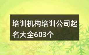 培訓(xùn)機(jī)構(gòu)培訓(xùn)公司起名大全603個