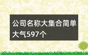 公司名稱大集合簡單大氣597個