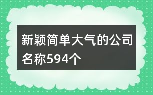 新穎簡單大氣的公司名稱594個(gè)