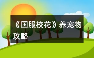 《國服?；ā佛B(yǎng)寵物攻略