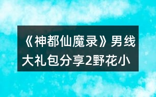 《神都仙魔錄》男線大禮包分享2野花小金庫10花大金庫攻略