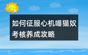 如何征服心機喵貓奴考核養(yǎng)成攻略