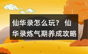 仙華錄怎么玩？ 仙華錄煉氣期養(yǎng)成攻略