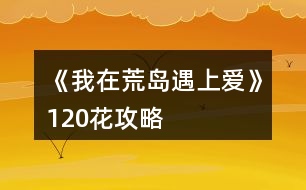 《我在荒島遇上愛》120花攻略