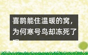 喜鵲能住溫暖的窩，為何寒號鳥卻凍死了呢？