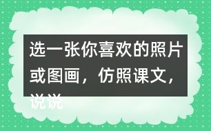 選一張你喜歡的照片或圖畫，仿照課文，說說上面都有什么。