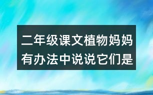 二年級課文植物媽媽有辦法中說說它們是怎么傳播種子的。