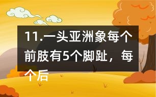 11.一頭亞洲象每個前肢有5個腳趾，每個后肢有4個腳趾，這頭亞洲象一共有多少個腳趾?