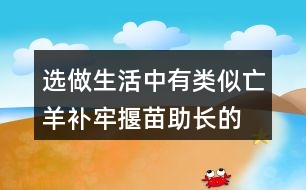 選做,生活中有類(lèi)似亡羊補(bǔ)牢,揠苗助長(zhǎng)的事例嗎?寫(xiě)一寫(xiě)