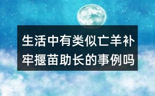 生活中有類似亡羊補(bǔ)牢揠苗助長(zhǎng)的事例嗎?