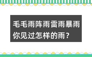 毛毛雨,陣雨,雷雨,暴雨你見過怎樣的雨？當(dāng)時(shí)的情景？