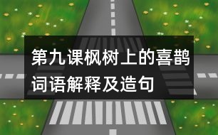 第九課楓樹上的喜鵲詞語解釋及造句