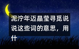 泥濘年邁晶瑩尋覓說說這些詞的意思，用什么方法知道的