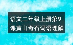 語文二年級(jí)上冊(cè)第9課黃山奇石詞語理解及造句