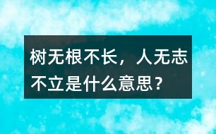 樹無根不長，人無志不立是什么意思？