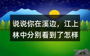 說說你在溪邊，江上、林中分別看到了怎樣的畫面。