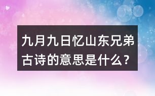 九月九日憶山東兄弟古詩的意思是什么？